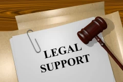 LEGAL ADVICE No. 2381