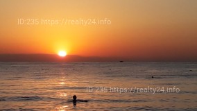 земельна ділянка 10-02-24 ID: 2415