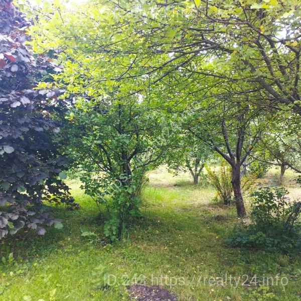  Затишний Будинок 385 м2 поблизу Львова у мальовничому місці ID: 2603