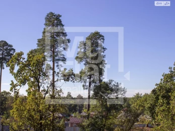 31 m2 Studio in Pushcha- Vodytsia  -  Designer Renovation, Forest  Lakes Nearby ID: 19807