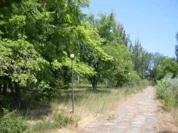 Інвестиційний проєкт: 7.6 га під котеджне містечко на березі Дніпра Запоріжжя Великий Луг. ID: 20087