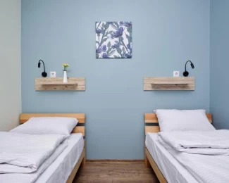 DREAM Hostel Khmelnytskyi ID: 27528