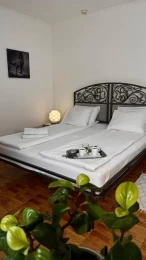 Grand Hostel
          – Chernivtsi